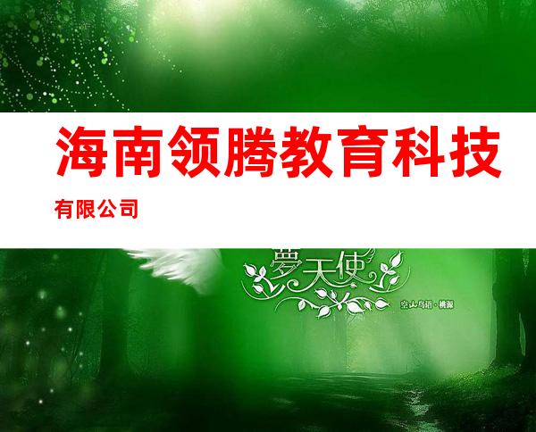 海南领腾教育科技有限公司